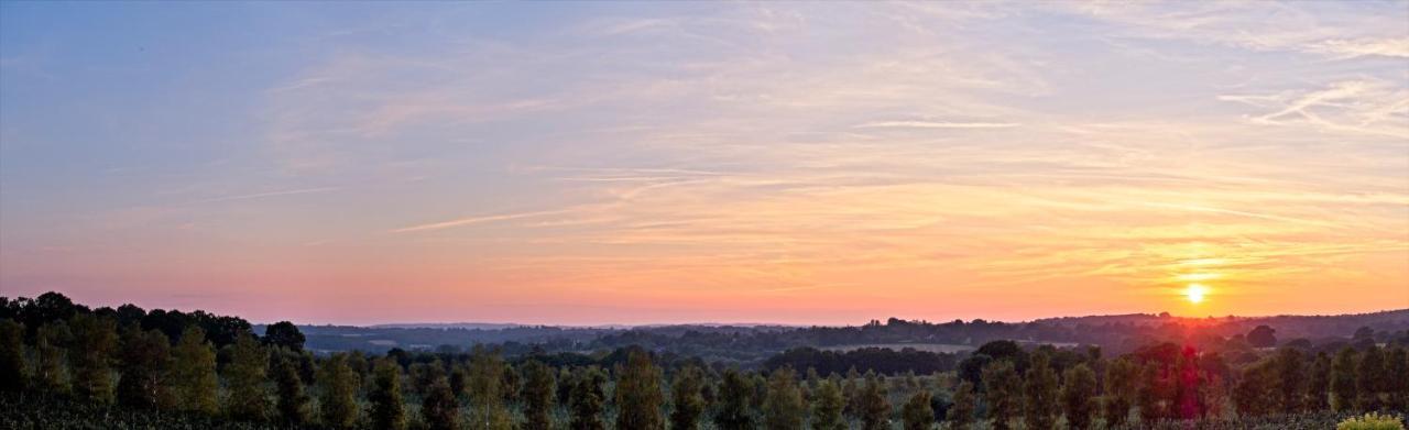 Meadow Cottage Bed & Breakfast Hawkhurst Dış mekan fotoğraf