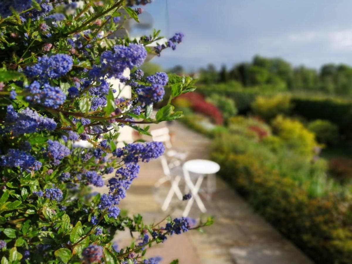 Meadow Cottage Bed & Breakfast Hawkhurst Dış mekan fotoğraf