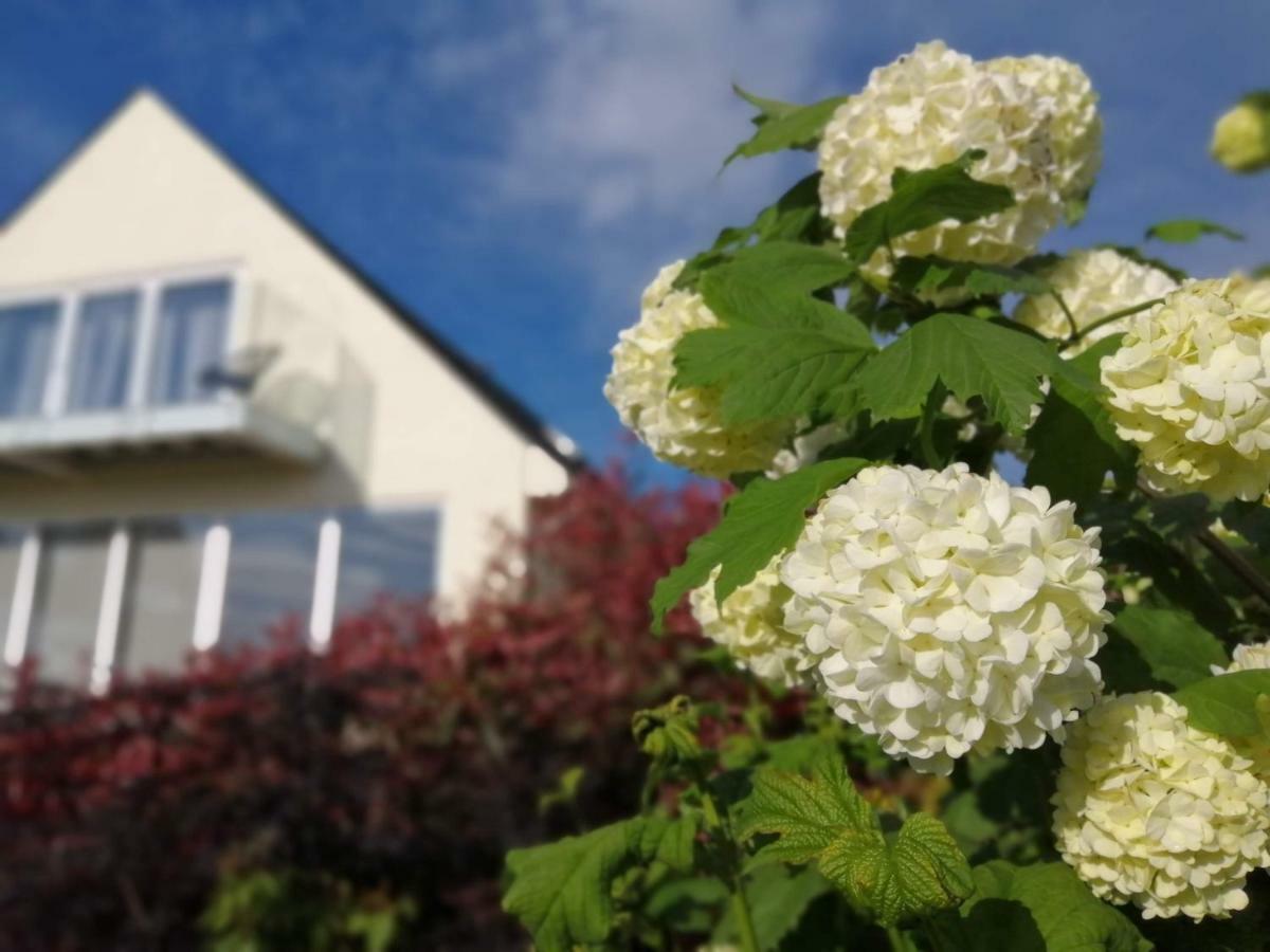 Meadow Cottage Bed & Breakfast Hawkhurst Dış mekan fotoğraf