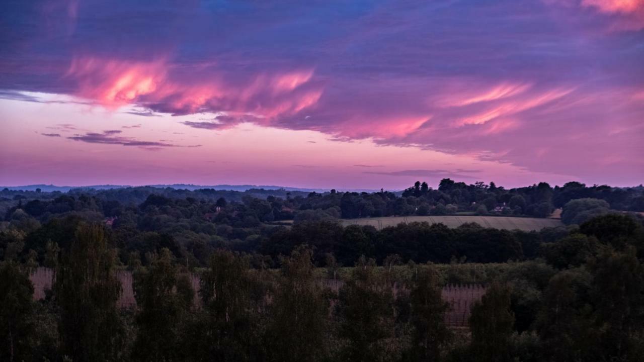 Meadow Cottage Bed & Breakfast Hawkhurst Dış mekan fotoğraf